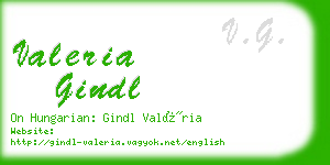 valeria gindl business card